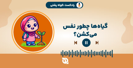 گیاهان چطور نفس می‌کشند؟